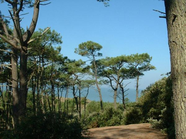 Cottages Du Valcoquet Saint-Brévin-les-Pins Luaran gambar
